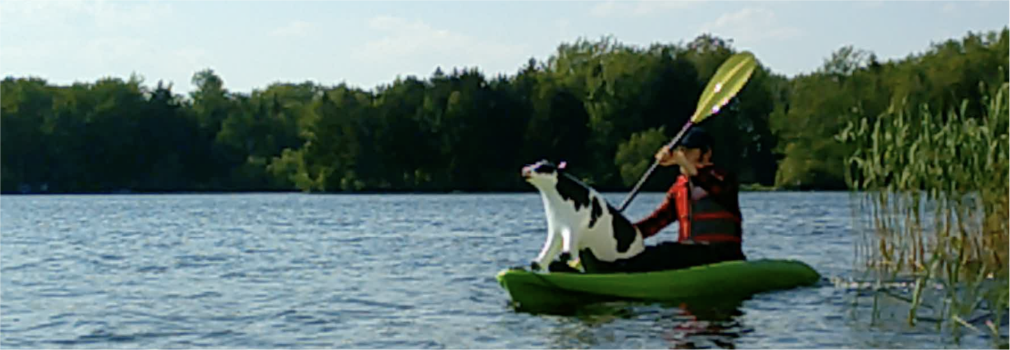 A person in a red life vest paddling a green kayak on a calm lake with a small black-and-white cow figurine sitting on the front of the boat.